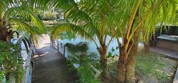 Treasure Island (D4), Terrace #556599461